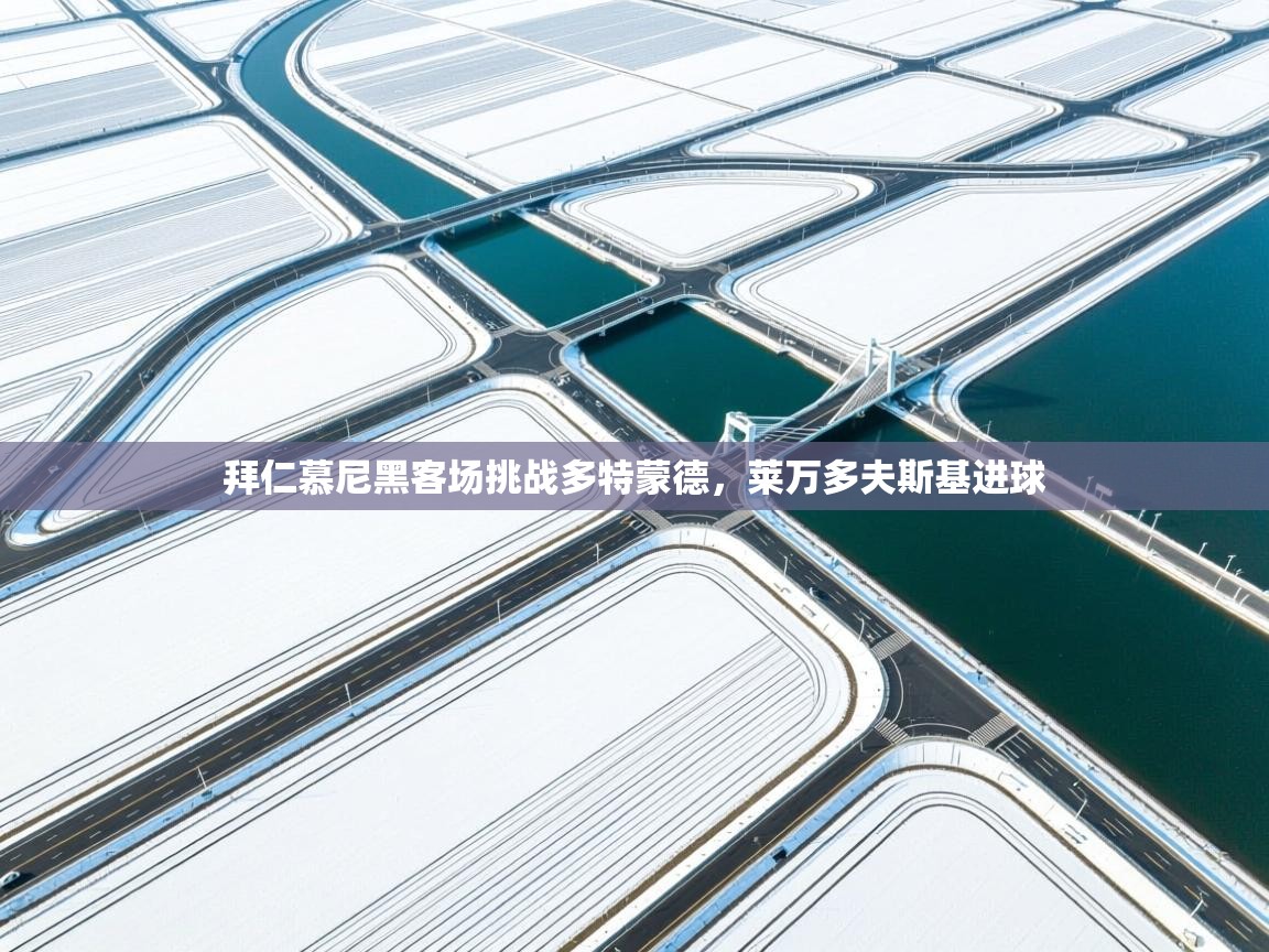 拜仁慕尼黑客场挑战多特蒙德,莱万多夫斯基进球