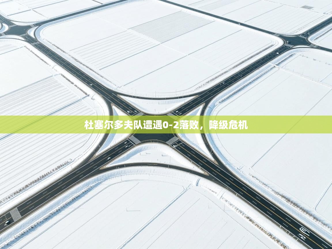 杜塞尔多夫队遭遇0-2落败，降级危机  第1张