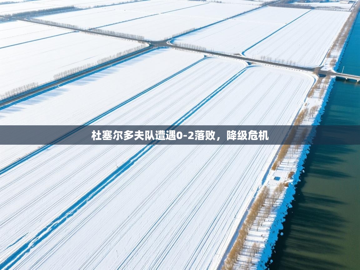 杜塞尔多夫队遭遇0-2落败，降级危机  第2张