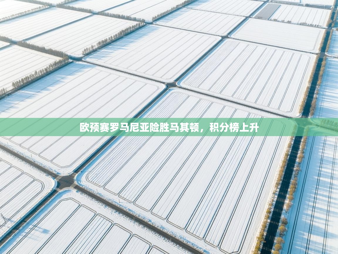 欧预赛罗马尼亚险胜马其顿，积分榜上升